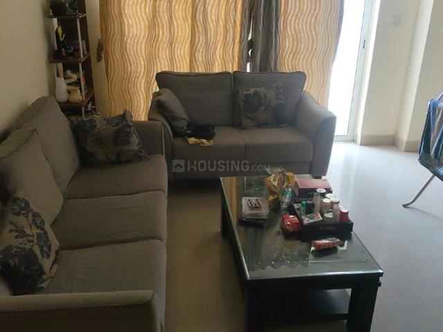 2 BHK Apartment in Sector 137 for rent Noida. The reference number is 20491732