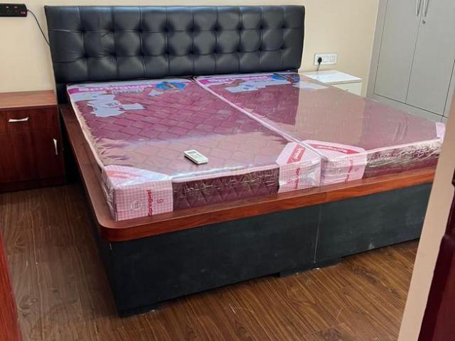 2 BHK Apartment in Sector 134 for rent Noida. The reference number is 19865196