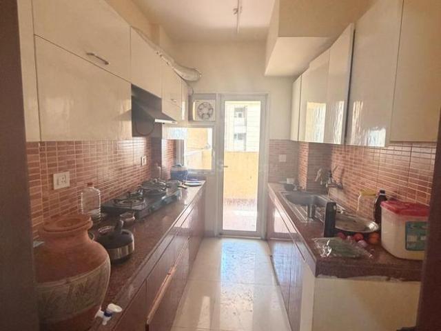 2 BHK Apartment in Sector 2 for rent Sohna. The reference number is 20400007