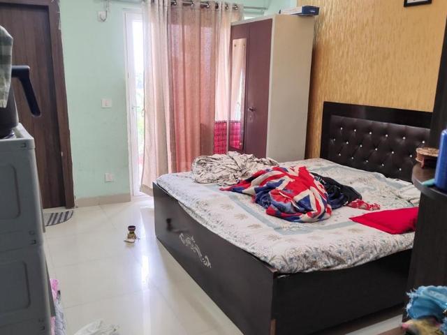 2 BHK Apartment in Sector 2 for rent Sohna. The reference number is 20573425