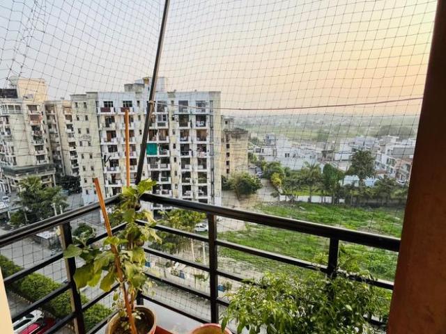 2 BHK Apartment in Sector 35 for rent Karnal. The reference number is 19783731