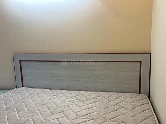 2 BHK Apartment in Sector 36 for rent Sohna. The reference number is 20034754