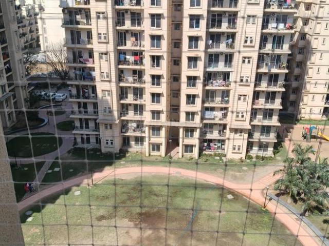 2 BHK Apartment in Sector 36 for rent Sohna. The reference number is 20512790