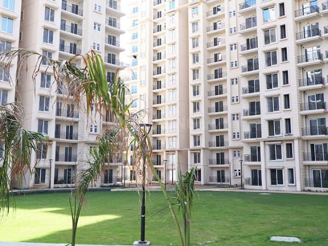 2 BHK Apartment in Sector 36 for resale Sohna. The reference number is 20574309
