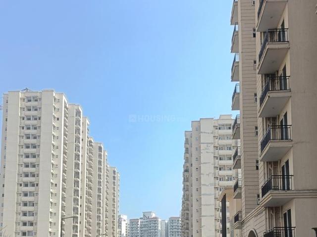 2 BHK Apartment in Sector 37D for rent Gurgaon. The reference number is 19818117