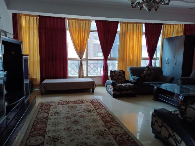 2 BHK Apartment in Sector 47 for rent Gurgaon. The reference number is 20430754