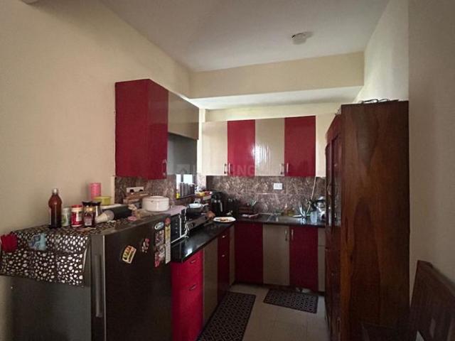 2 BHK Apartment in Sector 47 for rent Gurgaon. The reference number is 20391604