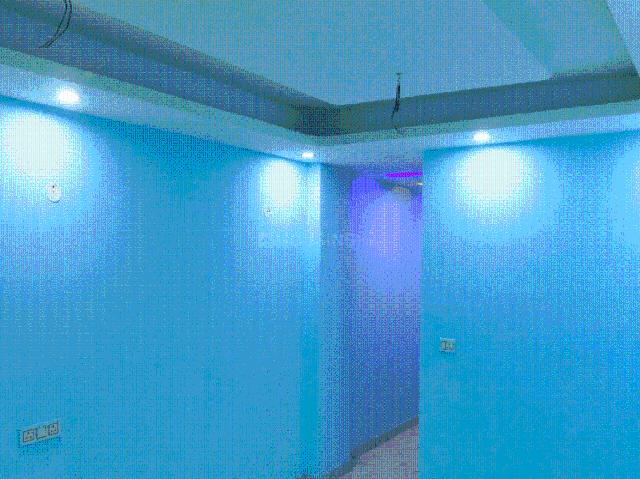 2 BHK Apartment in Sector 49 for resale Noida. The reference number is 19597266