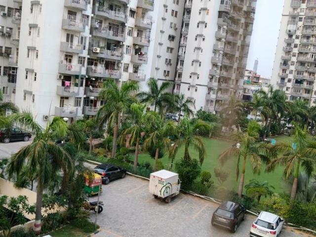 2 BHK Apartment in Sector 43 for rent Gurgaon. The reference number is 20452751