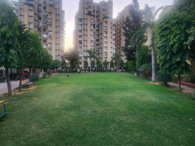 2 BHK Apartment in Sector 57 for rent Gurgaon. The reference number is 20456969