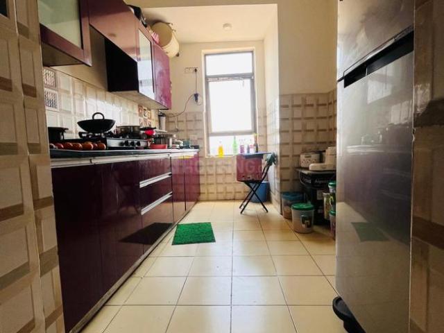 2 BHK Apartment in Sector 50 for rent Gurgaon. The reference number is 17456532