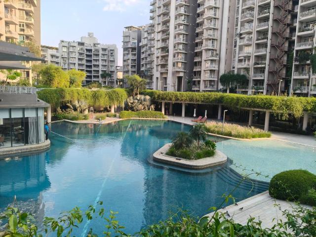 2 BHK Apartment in Sector 67 for rent Gurgaon. The reference number is 20276587