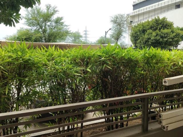 2 BHK Apartment in Sector 69 for rent Gurgaon. The reference number is 20596242