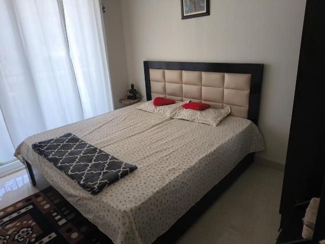 2 BHK Apartment in Sector 63 for rent Gurgaon. The reference number is 19478149