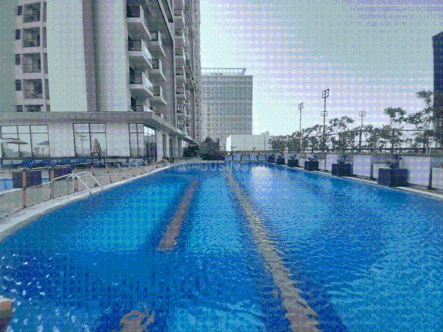 2 BHK Apartment in Sector 74 for resale Gurgaon. The reference number is 20400649