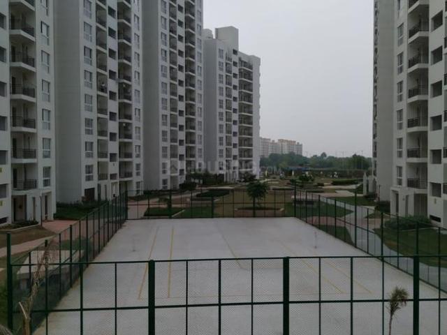 2 BHK Apartment in Sector 77 for resale Gurgaon. The reference number is 6552432