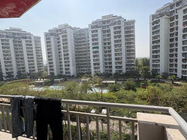 2 BHK Apartment in Sector 81 for rent Gurgaon. The reference number is 20402370