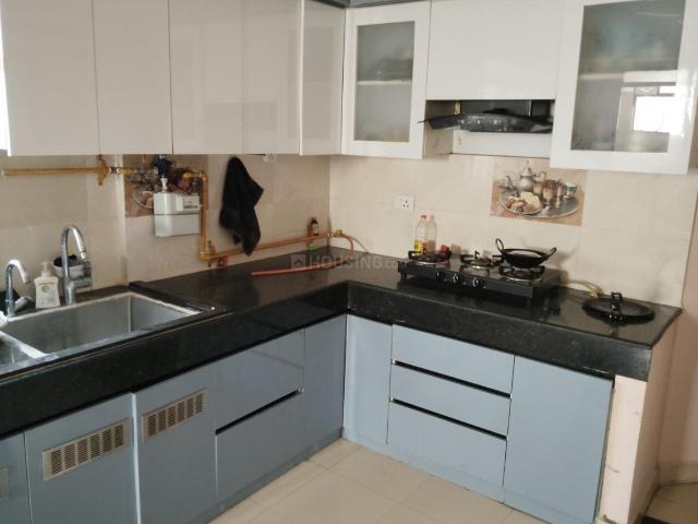 2 BHK Apartment in Sector 82 for rent Faridabad. The reference number is 20286002