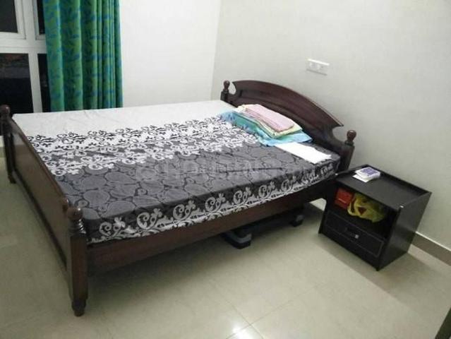 2 BHK Apartment in Sector 95 for rent Gurgaon. The reference number is 19311774