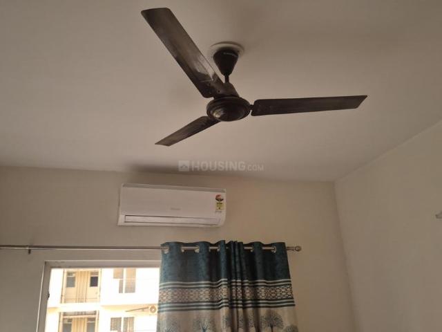 2 BHK Apartment in Sector 99 for rent Gurgaon. The reference number is 20271600