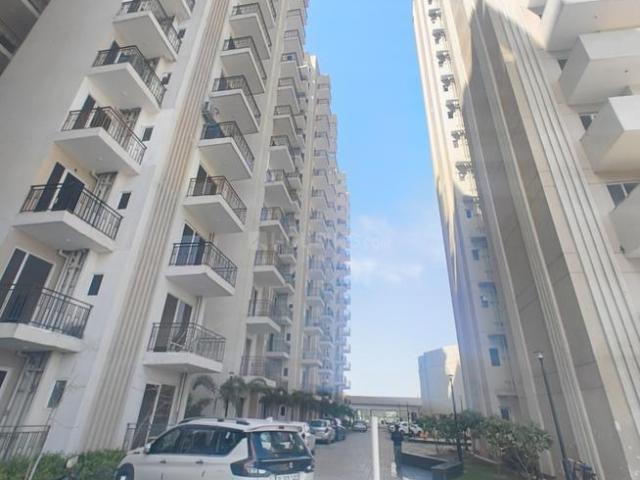 2 BHK Apartment in Sector 90 for rent Gurgaon. The reference number is 20201291