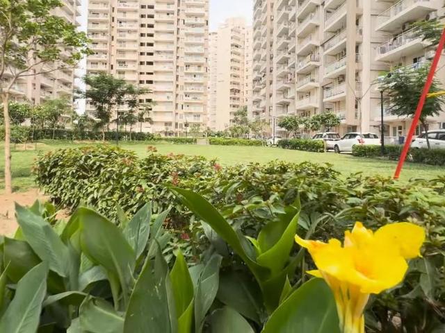 2 BHK Apartment in Sector 90 for resale Gurgaon. The reference number is 20890492