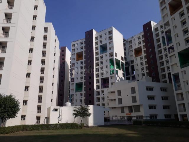 2 BHK Apartment in Sikandra for rent Agra. The reference number is 20281693