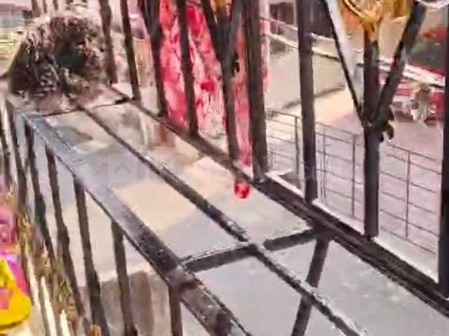 2 BHK Apartment in Paschim Putiary for resale Kolkata. The reference number is 20531857