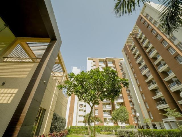 2 BHK Apartment in Pisoli for resale Pune. The reference number is 19877630