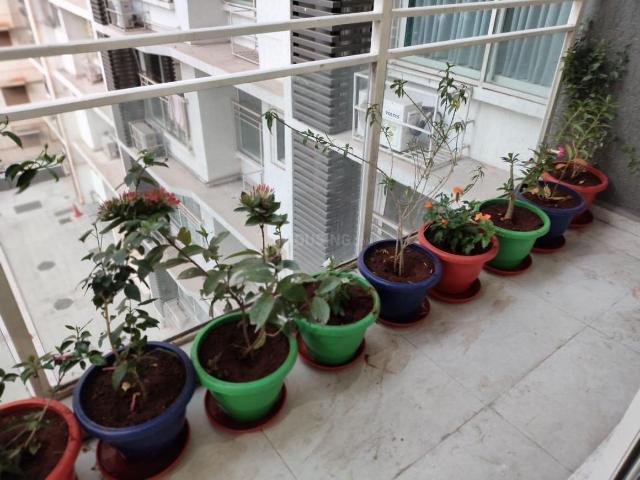 2 BHK Apartment in Prabhadevi for rent Mumbai. The reference number is 19980042