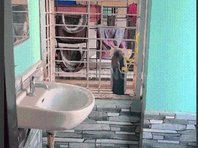 2 BHK Apartment in Pragathi Nagar for resale Pragathi Nagar Road. The reference number is 17265449