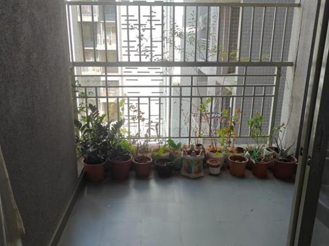 2 BHK Apartment in Wadgaon Sheri for resale Pune. The reference number is 20913330
