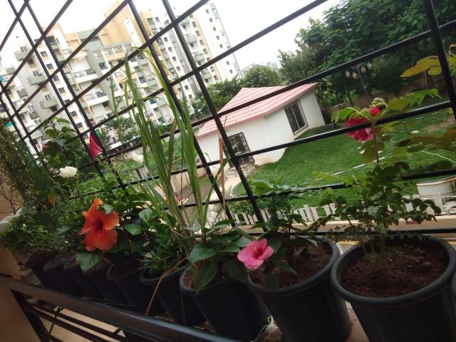 2 BHK Apartment in Wagholi for rent Pune. The reference number is 19907407
