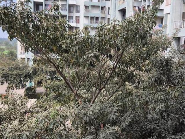 2 BHK Apartment in Wagholi for resale Pune. The reference number is 20124842