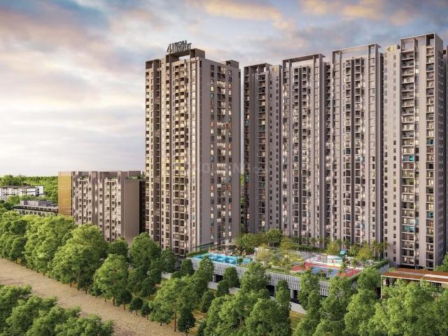 2 BHK Apartment in Tathawade for resale Pune. The reference number is 20485562