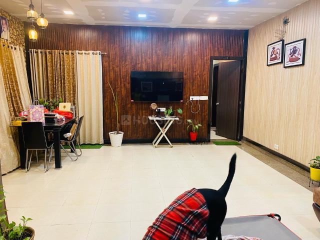 2 BHK Apartment in Uttorayon Township for rent Siliguri. The reference number is 20186432