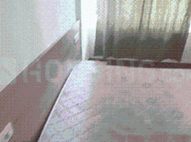 2 BHK Apartment in Vasanth Nagar for rent Bengaluru. The reference number is 20024552