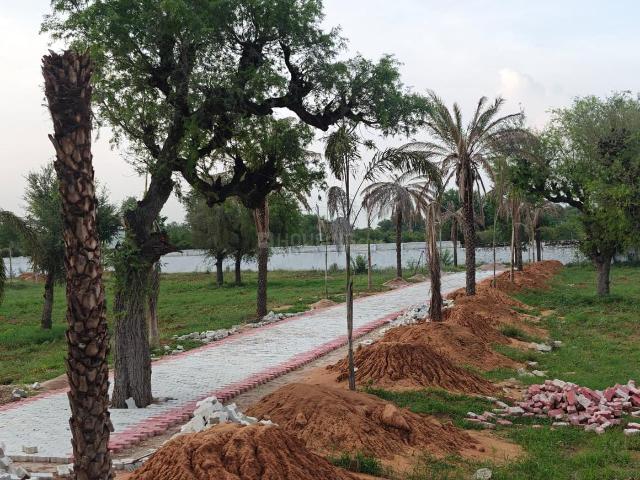2 BHK Farm House in Kalwad Road for resale Jaipur. The reference number is 20853285