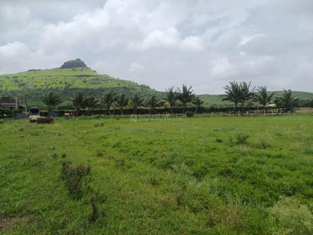 2 BHK Farm House in Panchavati for resale Nashik. The reference number is 17675889