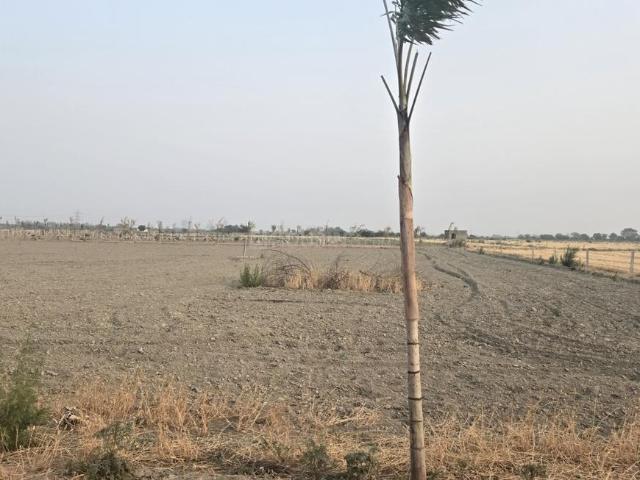 2 BHK Farm House in Sector 41 for resale Noida. The reference number is 17611940