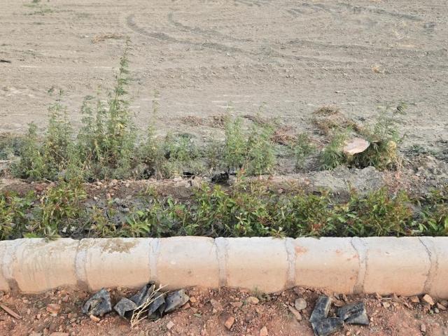 2 BHK Farm House in Sector 38 for resale Noida. The reference number is 17611860