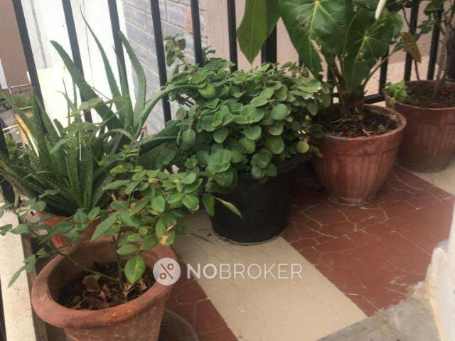 2 BHK Flat for Rent In J P Nagar