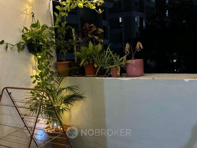 2 BHK Flat In Magarpatta City Iris for Rent In Hadapsar