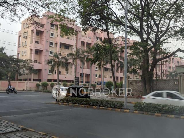 2 BHK Flat In Magarpatta Grevillea for Rent In Magarpatta Grevillea