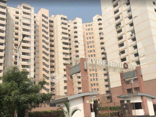 2 BHK Flat In Marigold 303, Divine Meadows, Sector 108, noida for Rent In Divine Meadows