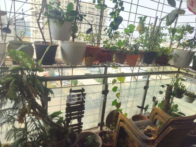 2 BHK Flat In Mavens Viaan Handewadi Pune For Sale In Hand