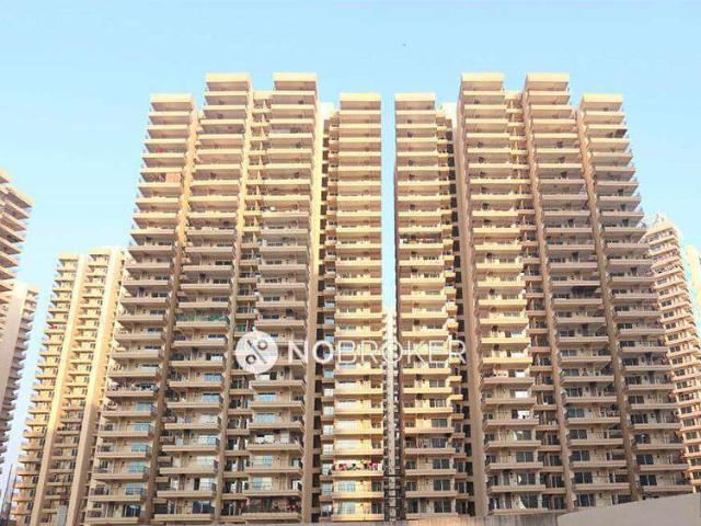 2 BHK Flat In Oasis Grandstand for Rent In Yamuna Expy