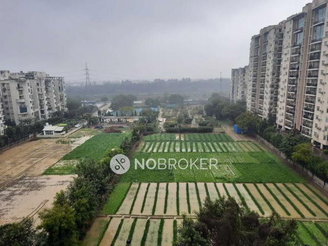2 BHK Flat In Omaxe Heights for Rent In Sector 86