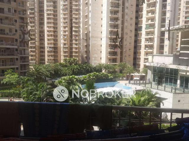 2 BHK Flat In Ajnara Homes for Rent In Sector 16