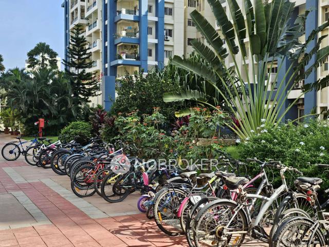 2 BHK Flat In Akme Harmony Apartments for Rent In Bellandur